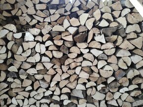 Palivové dřevo - 3