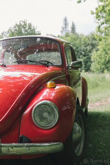 Volkswagen Brouk 1973 - 3