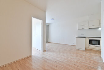 Pronájem bytu 2+kk, Řípská, Brno - Slatina, 42 m2 - 3
