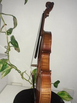 Housle celé - 3