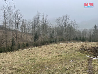Prodej, les, 33054 m2, Košťálov - 3
