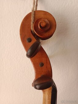Viola - 3