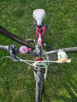Detske kolo Head 20 " - 3