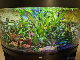 Rohové akvárium Juwel Trigon 350 - 3