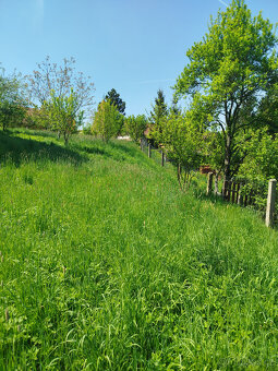 Stavební pozemek 842 m² v čisté přírodě Lubná u Kroměříže - 3
