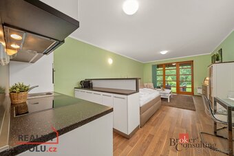 Prodej, byty/1+kk, 46.5 m2, 51761 Říčky v Orlických horách, - 3
