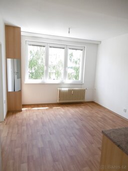 Pronájem byt 1+1 Veselí nad Lužnicí, 37 m2 - 3
