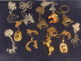 tématika Koně,.. - 3