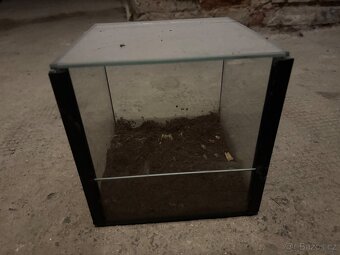 Terarium pro tarantuly - 3
