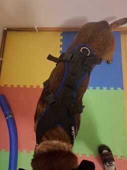 ManMat - Postroj Merhi long - 3