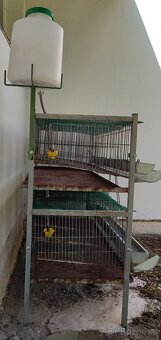 Klec pro křepelky - 3