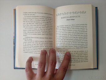 Legenda o sovích strážcích 2. - Cesta - Kathryn Lasky - 3