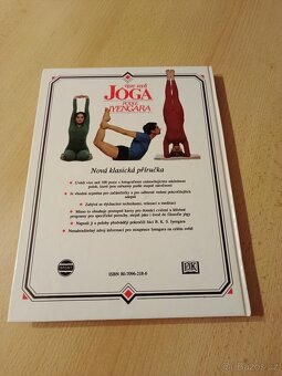 Jóga podle Iyengara, Strečink,relaxace,dýchání - 3