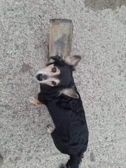 Parni lokomotiva- lopata na přikladani uhli - 3