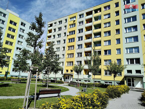 Pronájem bytu 1+1, 33 m², Bruntál, ul. Dělnická - 3