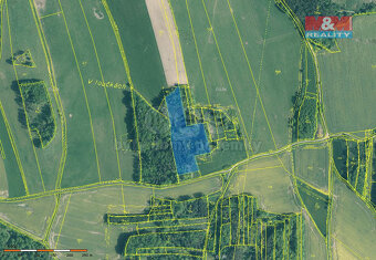 Prodej lesa, 24521 m², Skály - 3