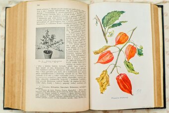 Velký přírodopis 4.díl - Botanika speciální - 3