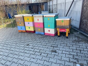 Vceli Uly - 3