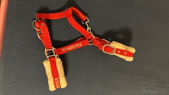 Pony Ohlávka+vodítko - 3