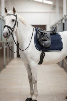 Drezurní podsedlové dečky - 3