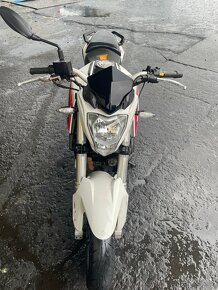 Benelli BN 251 - 3