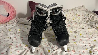 Brusle Bauer Vapor X3 vel. 8D - 3