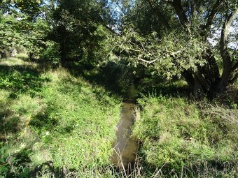 Zahrada - Žatec - 3