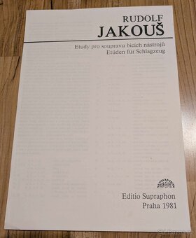 Bubenické školy - 3