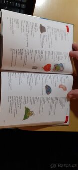 Anglický slovník pro malé školáky - 3