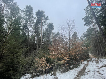 Prodej, les, 12219 m2, Smrčí u Semil, Záhoří - 3