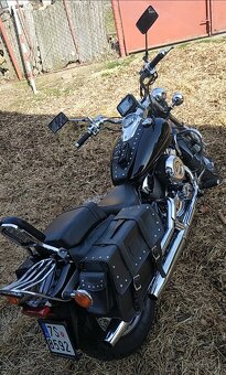 Yamaha XVS 650 DragStar - 3