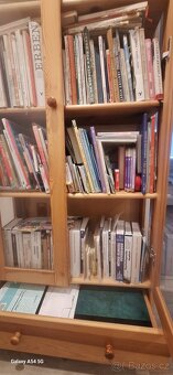 Knihovna borovice masiv - 3