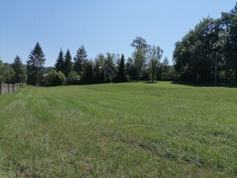 Prodej pozemku k bydlení 4596 m2, Hostašovice - 3