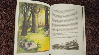 Ronja, dcera loupežníka + Stela a 16 huskyů - 3