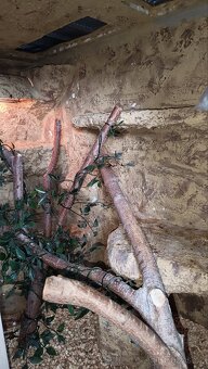 Terárium pro Agamy - 3