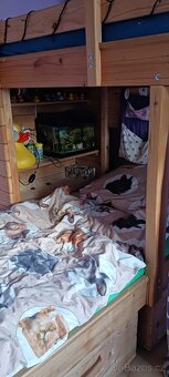 Patrová postel pro děti, palanda - 3