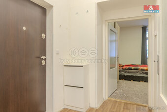 Prodej bytu 1+1, 42 m², Brno, ul. Stará - 3