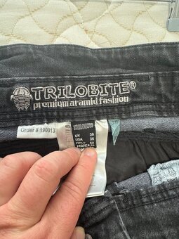 Trilobite dziny 36 - 3