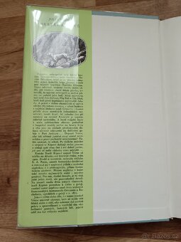 Kniha Jules Verne Bratři Kipové - 3