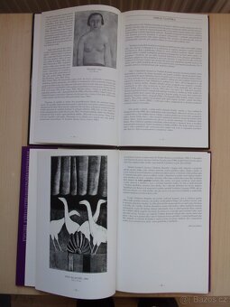 2x VLADIMÍR KOMÁREK - OBRAZY, GRAFIKA - 3