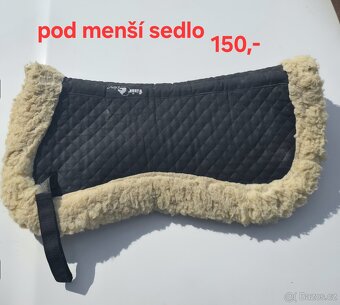 Úklid sedlovny - 3