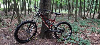 Specialized Status FSR - 3