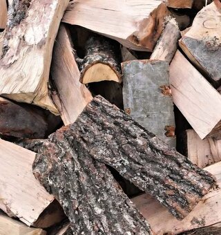 Palivové dřevo - 3