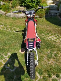 Pitbike WPB RACE 190 BEAST - 3