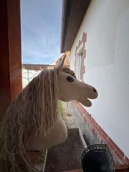 Hobby horse - 3