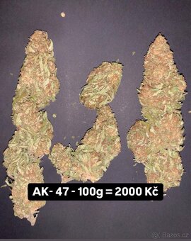 CBD kvety - 3
