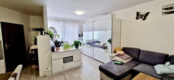 Pronájem prostorné 1kk 45m2 v Břeclavi - Poštorné - 3