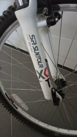 Fuji Nevada 19 " - 3