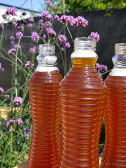 Kombucha - prodej nápoje - 3
