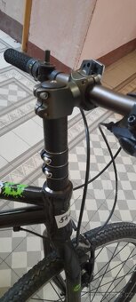 Frog 26 - 3